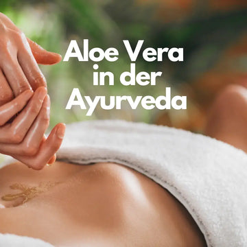 Aloe Vera im Ayurveda: Tradition und Sicherheit – sachliche Einordnung und Sicherheit