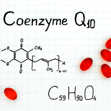 Coenzym Q10 und Zellgesundheit: Was ist belegt? – sachliche Einordnung und Sicherheit