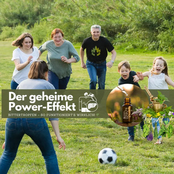 Bittertropfen: So wirken Bitterstoffe wirklich – sachliche Einordnung und Sicherheit
