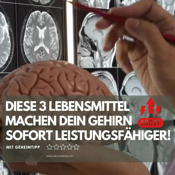 Gehirnleistung: Keine Lebensmittel wirken „sofort“ – sachliche Einordnung und Sicherheit