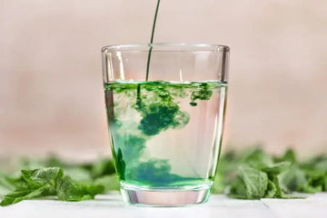 Flüssiges Chlorophyll – sachliche Einordnung und Sicherheit