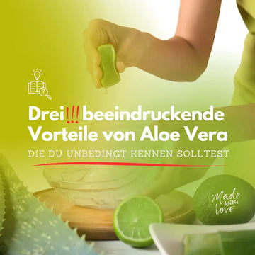 Aloe Vera: Anwendungen, Evidenz und Grenzen – sachliche Einordnung und Sicherheit