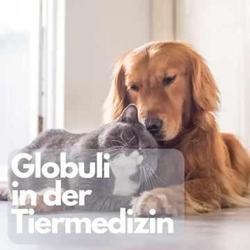 Globuli in der Tiermedizin? Behandlung nicht verzögern – sachliche Einordnung und Sicherheit