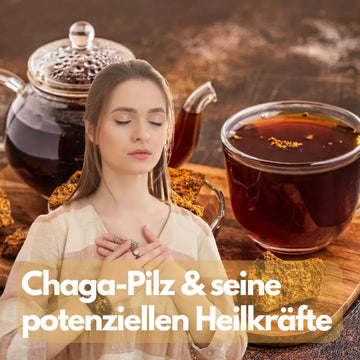 Chaga: Heilversprechen kritisch geprüft – sachliche Einordnung und Sicherheit
