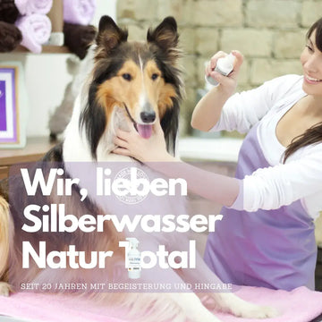 Kolloidales Silberspray für Hunde? Tierärztlich klären – sachliche Einordnung und Sicherheit
