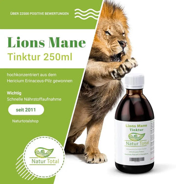 Lion’s Mane Tinktur: Wirkung und Qualitätsfragen – sachliche Einordnung und Sicherheit