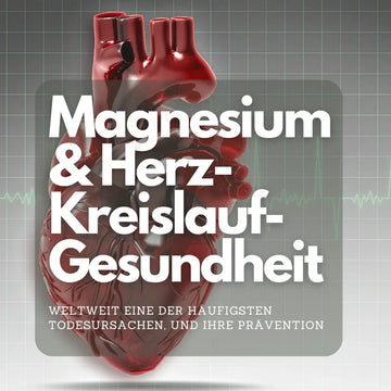 Magnesium und Herz-Kreislauf: Evidenz richtig einordnen – sachliche Einordnung und Sicherheit