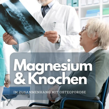 Magnesium und Knochen: Zusammenspiel der Nährstoffe – sachliche Einordnung und Sicherheit