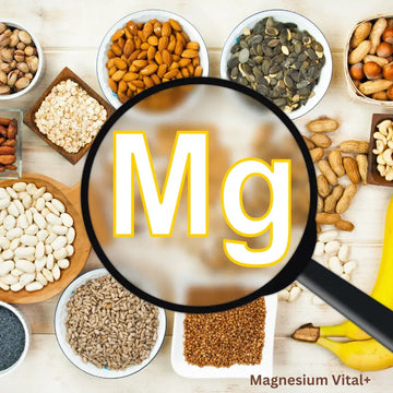 Magnesium: Bedarf, Formen und sichere Einnahme – sachliche Einordnung und Sicherheit