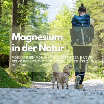 Magnesium in Natur und Ernährung – sachliche Einordnung und Sicherheit