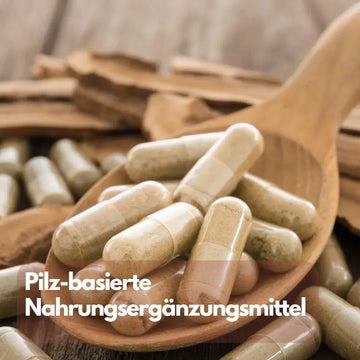 Pilzbasierte Nahrungsergänzung: Auswahl und Sicherheit – sachliche Einordnung und Sicherheit