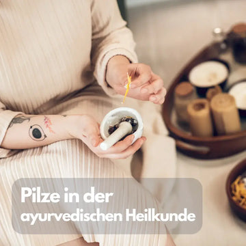 Pilze im Ayurveda: Tradition und Sicherheit – sachliche Einordnung und Sicherheit
