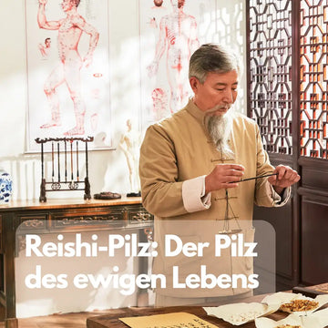 Reishi: Der „Pilz des ewigen Lebens“ im Faktencheck – sachliche Einordnung und Sicherheit
