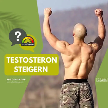 Testosteron steigern: Was wirklich sinnvoll ist – sachliche Einordnung und Sicherheit
