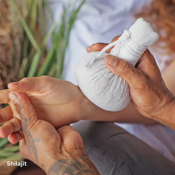 Shilajit im Ayurveda: Tradition und Evidenz – sachliche Einordnung und Sicherheit