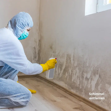 Schimmel mit Wasserstoffperoxid entfernen? – sachliche Einordnung und Sicherheit