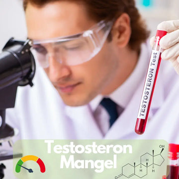 Testosteronmangel: Symptome, Diagnose und Therapie – sachliche Einordnung und Sicherheit