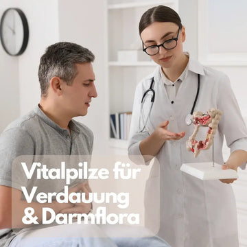 Vitalpilze für Verdauung und Darmflora? – sachliche Einordnung und Sicherheit