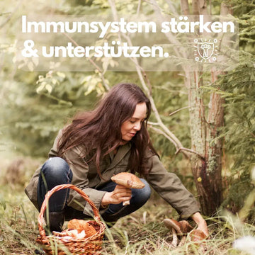 Vitalpilze für das Immunsystem? – sachliche Einordnung und Sicherheit