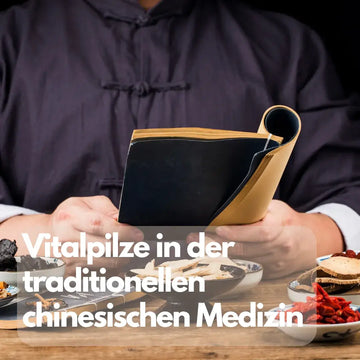 Vitalpilze in der TCM: Tradition und Evidenz – sachliche Einordnung und Sicherheit