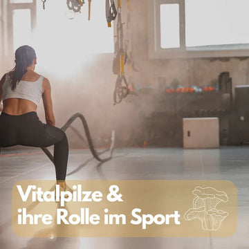 Vitalpilze im Sport: Leistung kritisch eingeordnet – sachliche Einordnung und Sicherheit