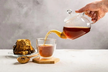 Chaga-Tee wird aus einer Glaskanne in eine Tasse gegossen