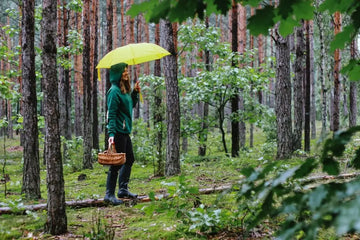 Frau sammelt Pilze im Wald unter einem gelben Regenschirm