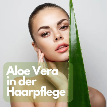 Aloe Vera in der Haarpflege: Nutzen und Anwendung – sachliche Einordnung und Sicherheit