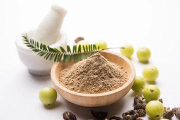 Grünes Amla-Pulver aus indischen Stachelbeeren