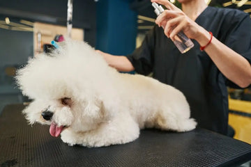 Pflegespray wird nach dem Grooming auf Hundefell aufgetragen