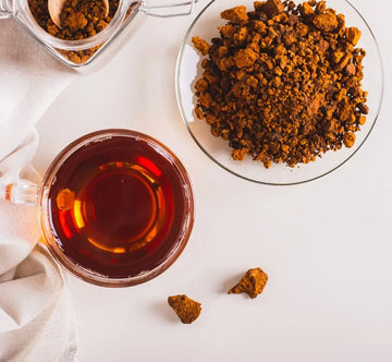 Tasse mit dunklem Chaga-Tee und getrockneten Pilzstücken