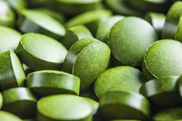Grünes Algenpulver in einer Schale als Chlorella- oder Spirulina-Produkt