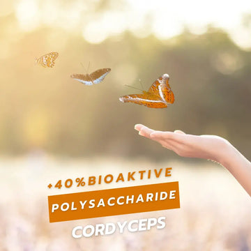 Cordyceps und Atemwege: Was ist belegt? – sachliche Einordnung und Sicherheit