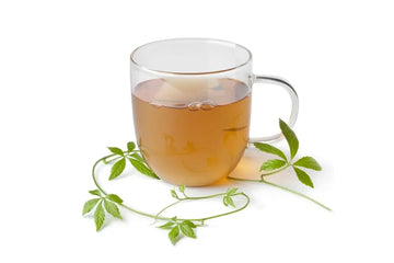Tasse Tee mit frischem Jiaogulan-Kraut