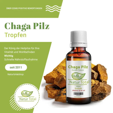 Chaga-Pilz-Tropfen: Nutzen und Risiken – sachliche Einordnung und Sicherheit