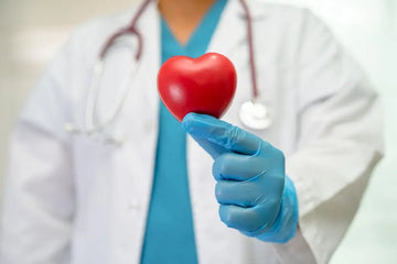 Ärztin hält ein rotes Herzmodell in einer Klinik