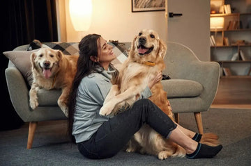 Hunde mit ihrer Halterin als Symbol für verantwortungsvolle Tiergesundheit