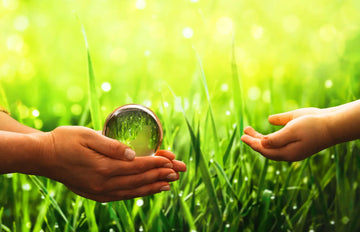 Natur Total: Qualität und Verantwortung transparent leben – sachliche Einordnung und Sicherheit
