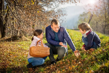 Familie sammelt Pilze bei einem Waldspaziergang