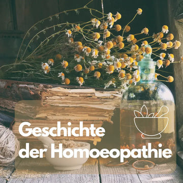 Geschichte der Homöopathie: Entstehung und Kritik – sachliche Einordnung und Sicherheit