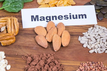 Magnesium: Funktion, Bedarf und Quellen – sachliche Einordnung und Sicherheit