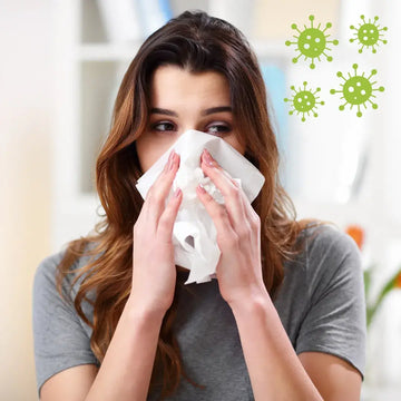 Influenza B – sachliche Einordnung und Sicherheit
