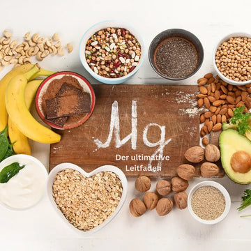 Magnesium: Der sachliche Leitfaden – sachliche Einordnung und Sicherheit