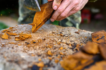 Chaga-Stücke werden mit einem Werkzeug zerkleinert