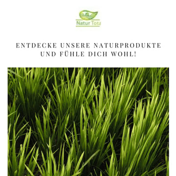 Naturprodukte: Qualität und Nutzen realistisch prüfen – sachliche Einordnung und Sicherheit