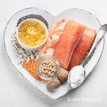 Die stille Kraft der Omega-3-Fettsäuren – sachliche Einordnung und Sicherheit