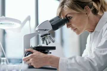 Wissenschaftliche Untersuchung eines Pflanzenprodukts im Labor