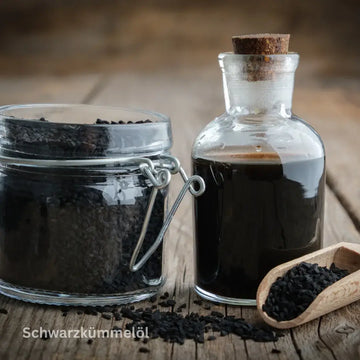 Schwarzkümmelsamen: Verwendung in der Küche – sachliche Einordnung und Sicherheit