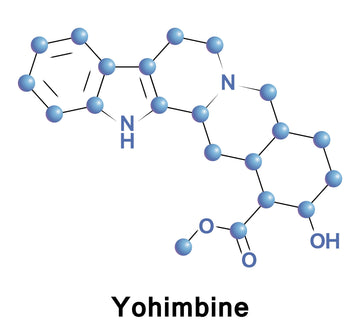 Yohimbe-Rinde und pflanzliche Kapseln als Kontext zu Yohimbin