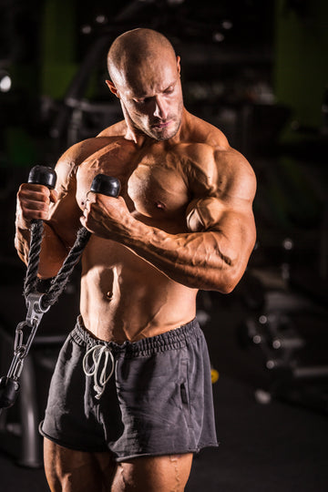 Krafttraining im Fitnessstudio als Kontext zur Einordnung von YK-11